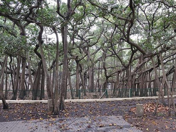 இந்த பூங்காவின் மூலை முடுக்கெல்லாம் சுற்றலாம் வாங்க