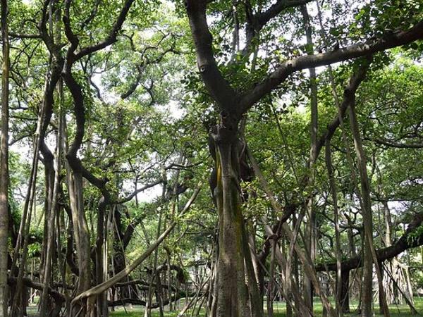 இந்த பூங்காவின் மூலை முடுக்கெல்லாம் சுற்றலாம் வாங்க