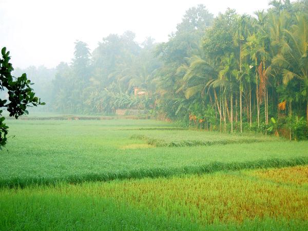 உரகம், கேரளா: