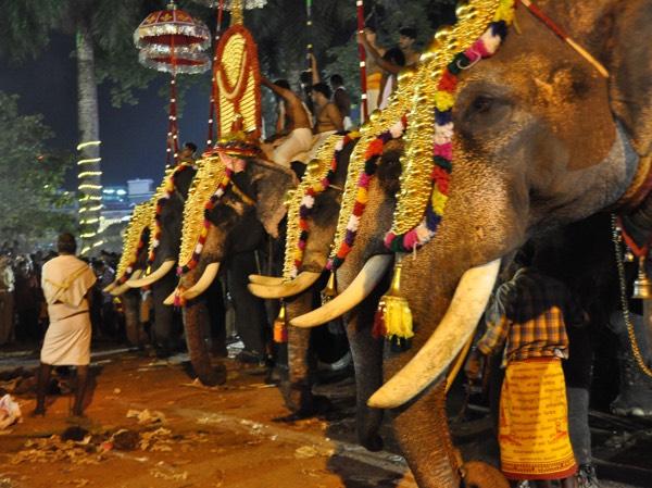 திரிசூர் பூரம்: