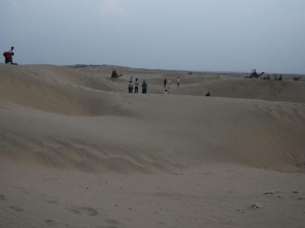 பாலைவனம்