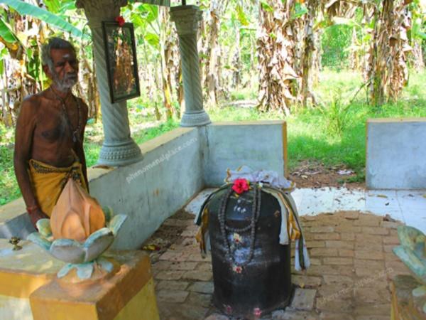 ராஜராஜனின் சமாதி
