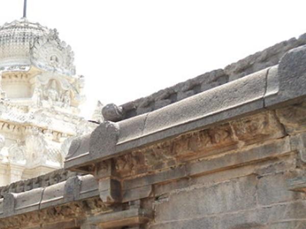 மதிலில் ஊரும் பாம்பு
