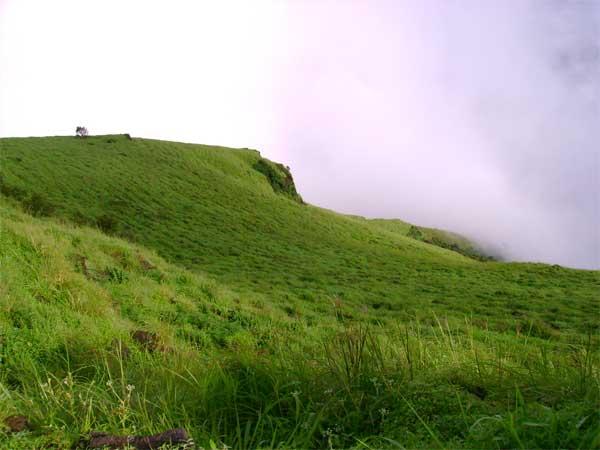 சக்லேஷ்பூர்: