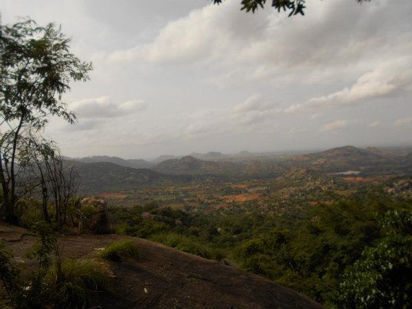 பார்க்கும் படலம்