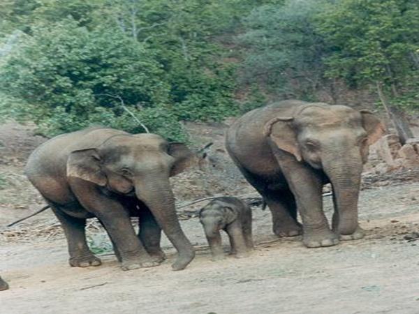 வரலாற்றுப் பின்னணி