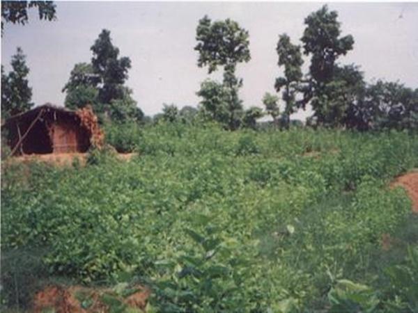சுற்றியுள்ள சுற்றுலா சிறப்பம்சங்கள்