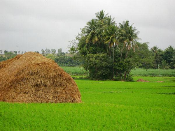 ராம நகராவிலும் ஸ்ரீ ரங்கப்பட்டினத்திலும் ஒரு சிறு நிறுத்தம்: