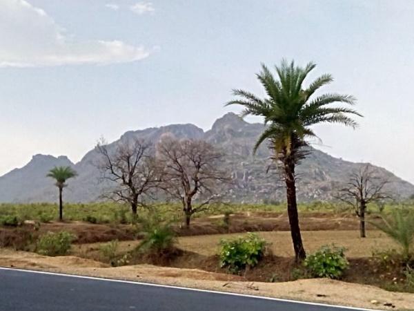 நந்தன் பஹார்