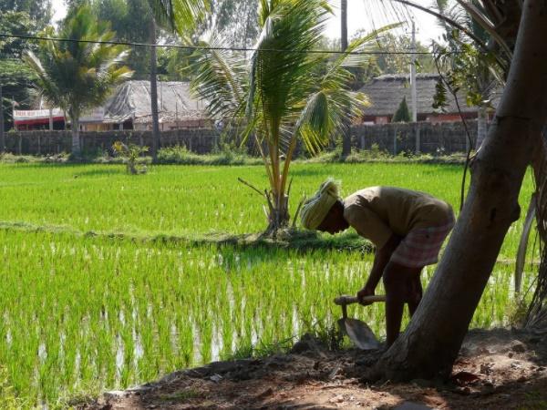 வேளாண் குடில்களில் தங்கும் அனுபவம்