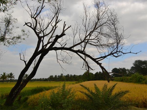 மத்தூரை நாம் காண சிறந்த நேரங்கள்: