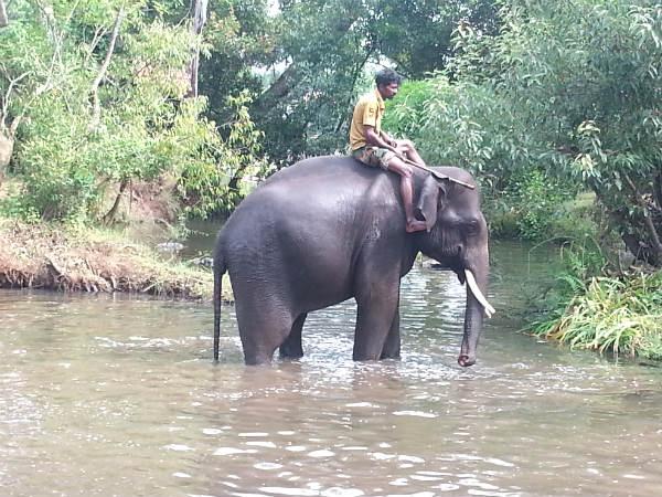 மற்ற முக்கியமான இடங்கள்