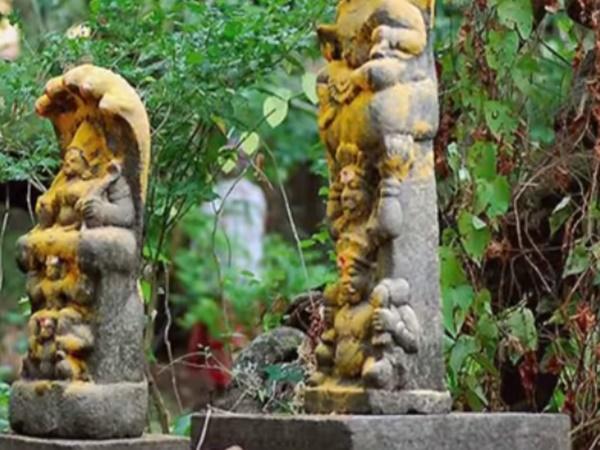 தோஷங்களை நீக்கும் நாகபூசனி அம்மன்
