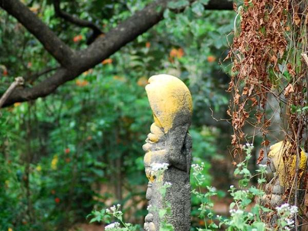 கேரளாவுக்குகந்த நாகவழிபாடு