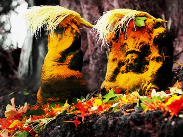 நாகக்கன்னி வழிபாடு