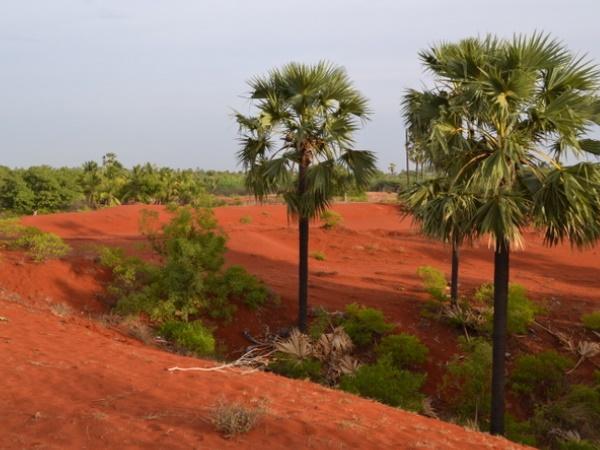 தமிழகத்தில் எங்குள்ளது