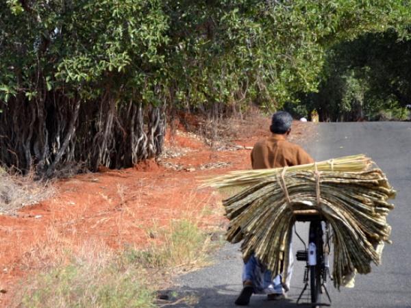 மேற்கு தொடர்ச்சி மலை ஆறுகள்