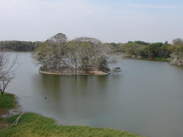 கரஞ்சி லேக், மைசூர்