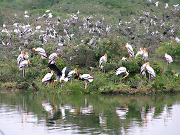 இயற்கை எழில் கொஞ்சும் ஏரி