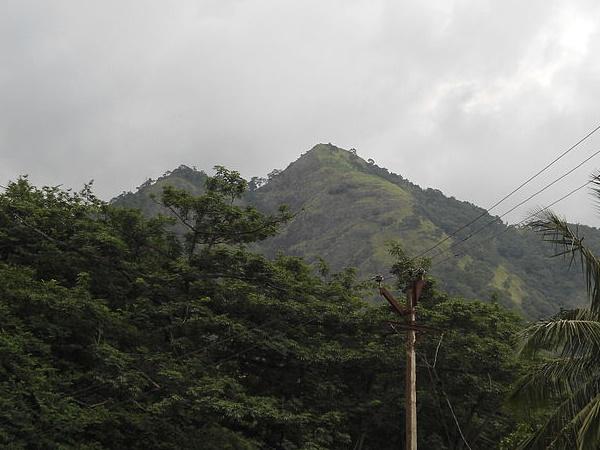 சுவடிகள்