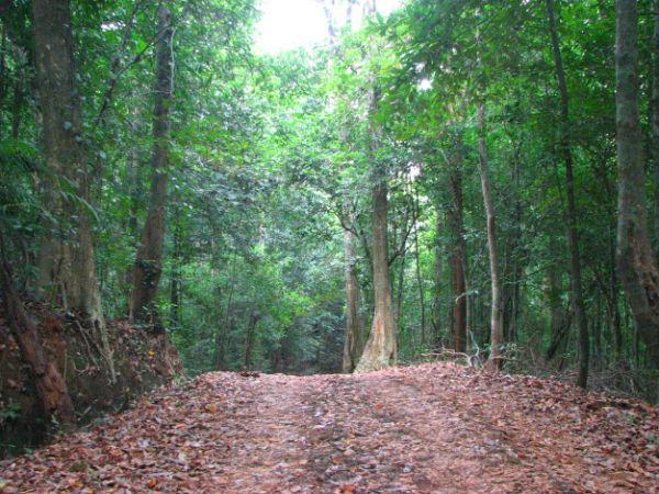 கர்நாடகவின் மான்செஸ்டர்
