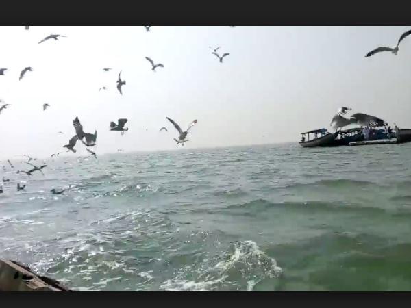 நிர்மல்ஜாரா தீவு