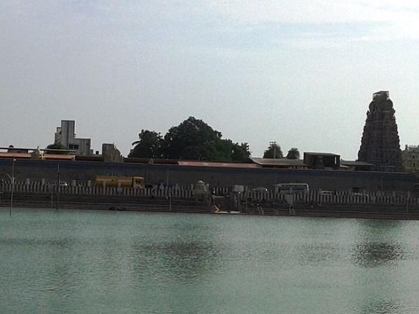 வீரராகவபெருமாள் கோயில்