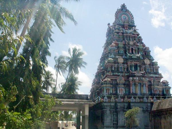 உங்கள் தலையெழுத்து மாற