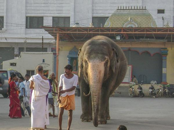 அற்புதங்களும் அதிசயங்களும்