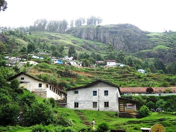கெட்டி(ஊட்டி)