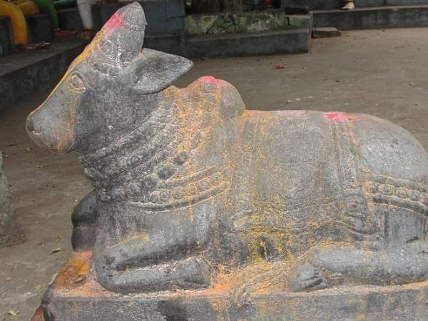 சிறப்பம்சம்