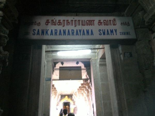 ஆயிரம் ஆண்டு வயது