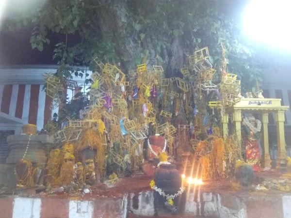 குழந்தை தரும்
