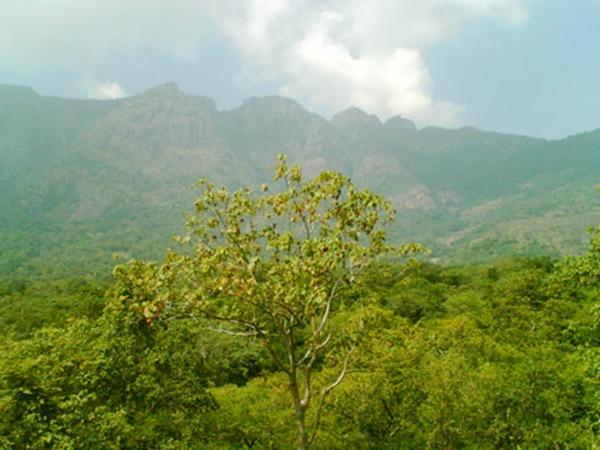 பழங்கால வரலாறு