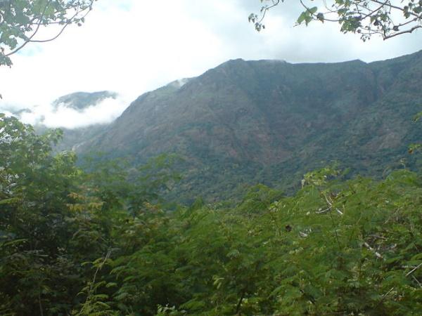 எவ்வளவு பெரியது தெரியுமா?