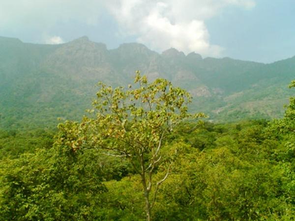 அமைவிடம்