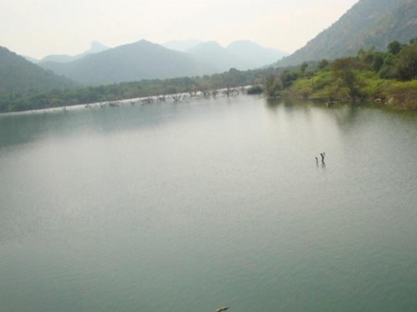 ஆறுகள்