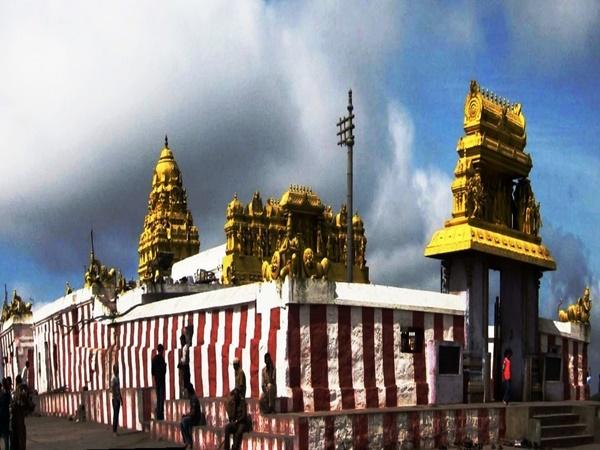 பிலிகிரி ரங்கா மலைக்குன்றுகள்