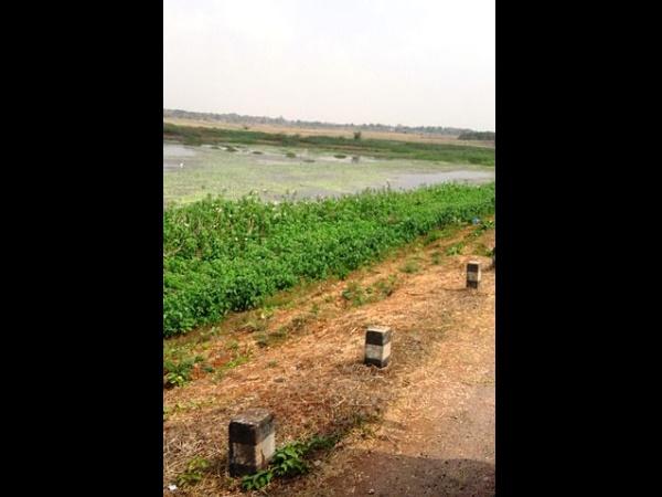 சர்க்கூர்