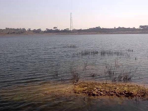 வொண்டர்லா மற்றும் புதுமையான திரைப்பட நகரம்: