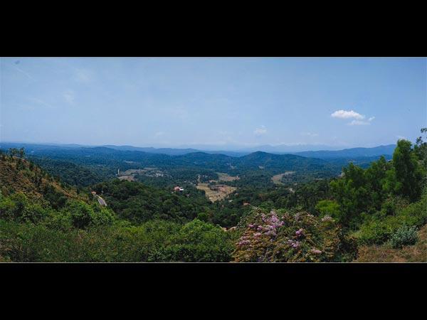 கூர்க்: