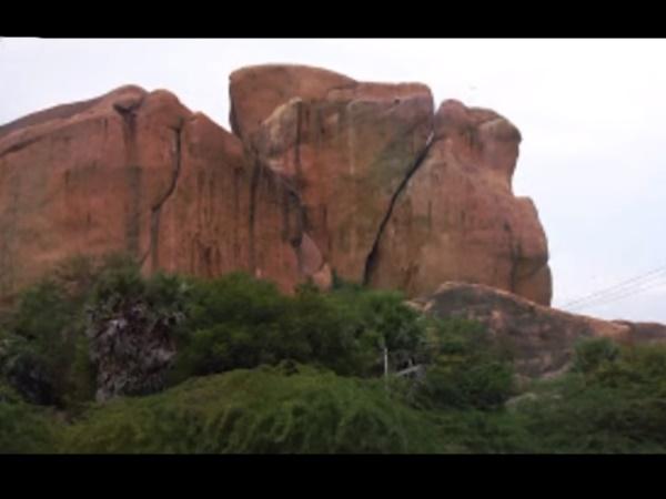 உலகிலேயே இது ஒன்றுதான்