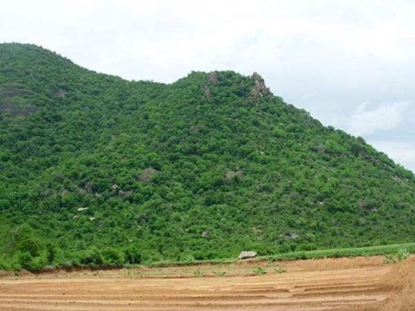கல்ராயன் மலைத்தொடர்கள்