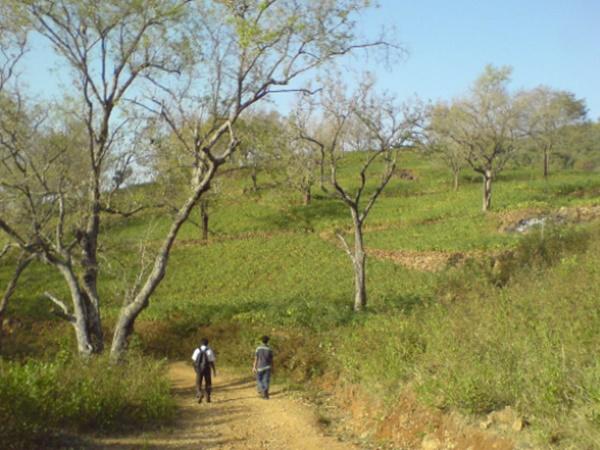 உயரம்