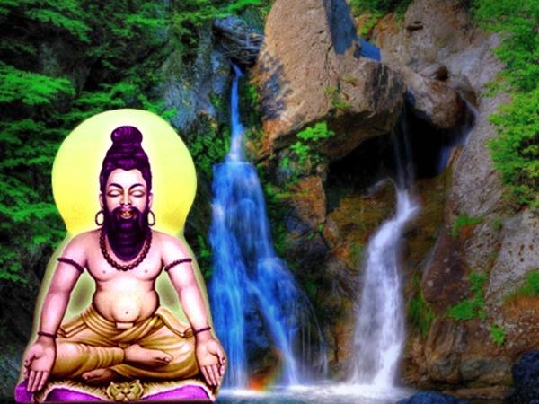 ஆர்ப்பரிக்கும் அருவி நடுவில் அதிசய அகத்தியர்
