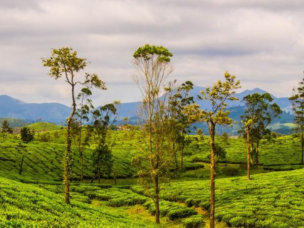 மழைப்பயணம்