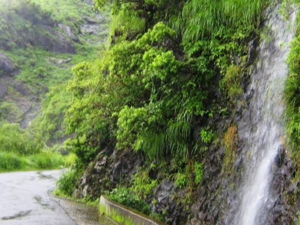 சாகச விரும்பிகளே