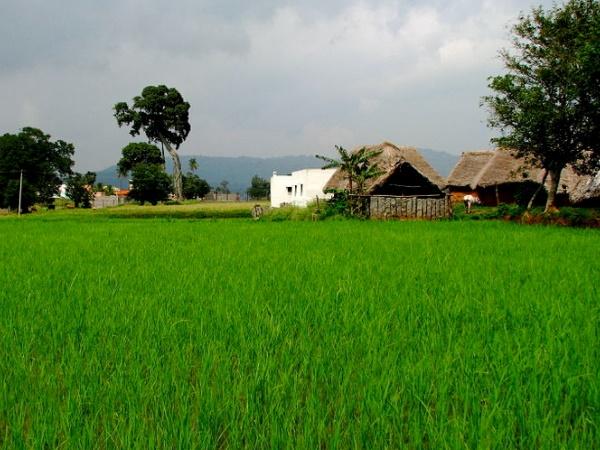 ஏலகிரி