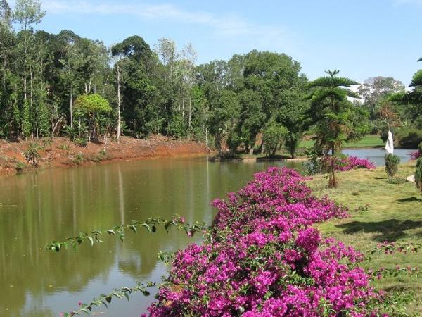 கொல்லிமலை