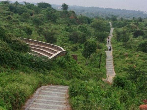 ஆரவள்ளி உயிர் பன்முகத்தன்மை பூங்கா, குருகிராம்: